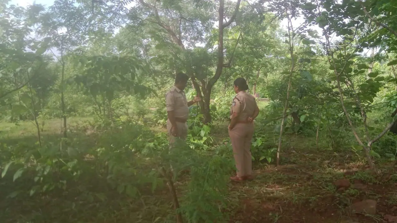 दमोह के जंगल में मिला महिला का कंकाल, इलाके में सनसनी, पहचान में जुटी पुलिस