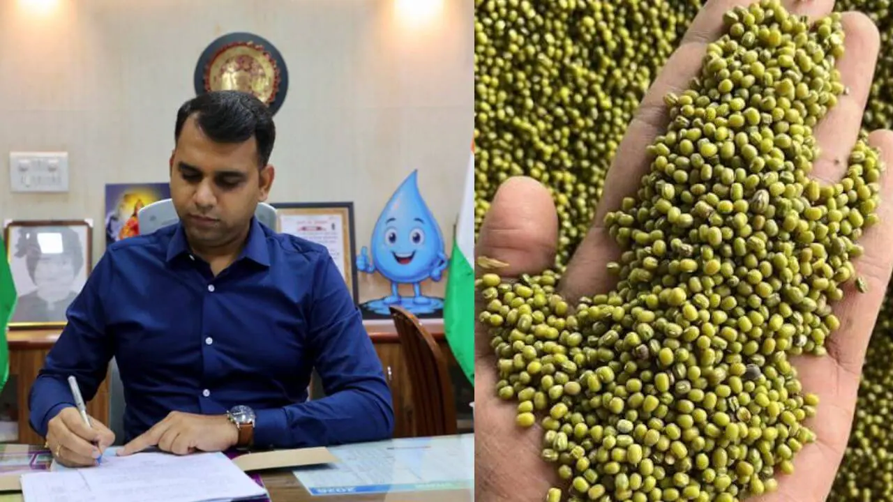 नर्मदापुरम: मूंग खरीदी में अब नहीं चलेगी मनमानी, उपार्जन अवधि तक सील रहेंगे पुराने स्टॉक वाले वेयरहाउस, कलेक्टर ने जारी किए सख्त निर्देश