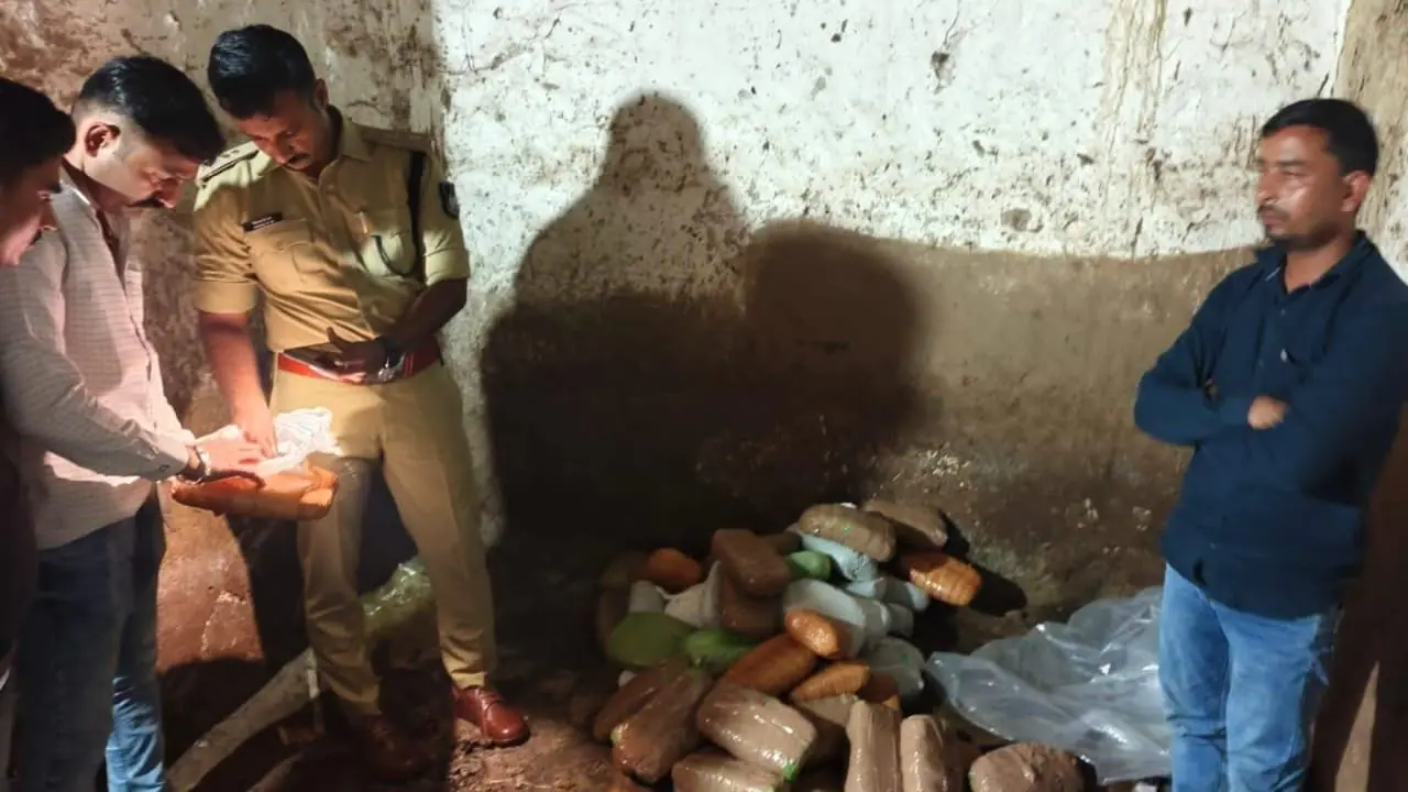 नशे के अवैध कारोबार पर सिंगरौली पुलिस का बड़ा प्रहार, स्कूल टॉयलेट से 18 लाख रुपये से अधिक का गांजा, 50 हजार रुपये से अधिक की शराब जब्त