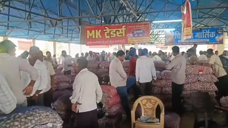 जावद मंडी में ऊटी लहसुन की बंपर आवक, बीज खरीदने किसानों की लगी भीड़