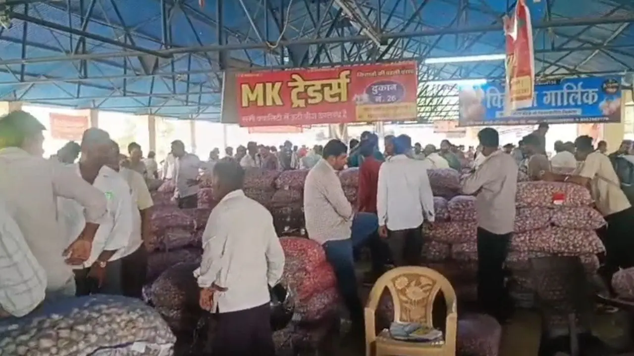 जावद मंडी में ऊटी लहसुन की बंपर आवक, बीज खरीदने किसानों की लगी भीड़