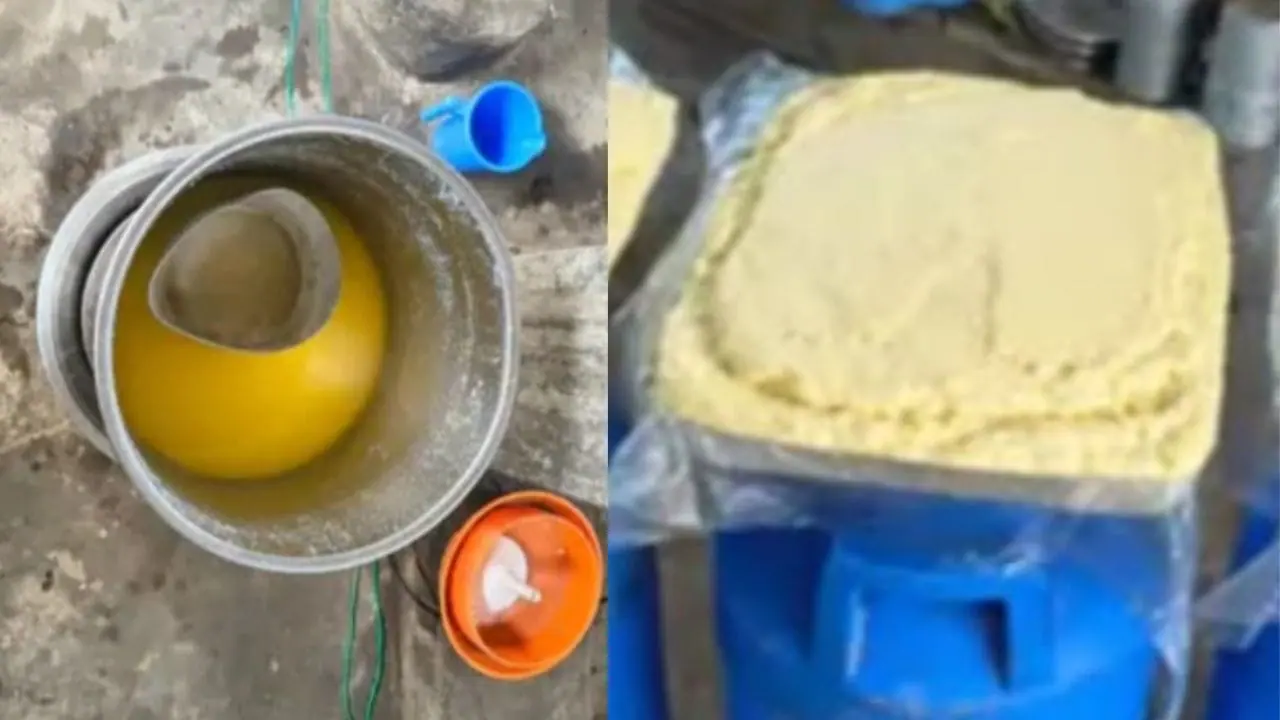 मुरैना में खाद्य सुरक्षा विभाग की कार्रवाई, डेयरियों से बड़ी मात्रा में पनीर-मावा और घी बरामद