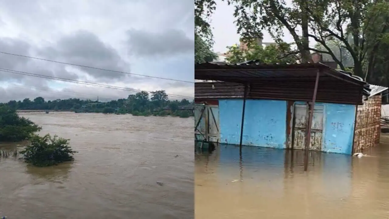 रीवा और मऊगंज में बारिश बनी मुसीबत, उफान पर नदी-नाले, कई जगह जलभराव
