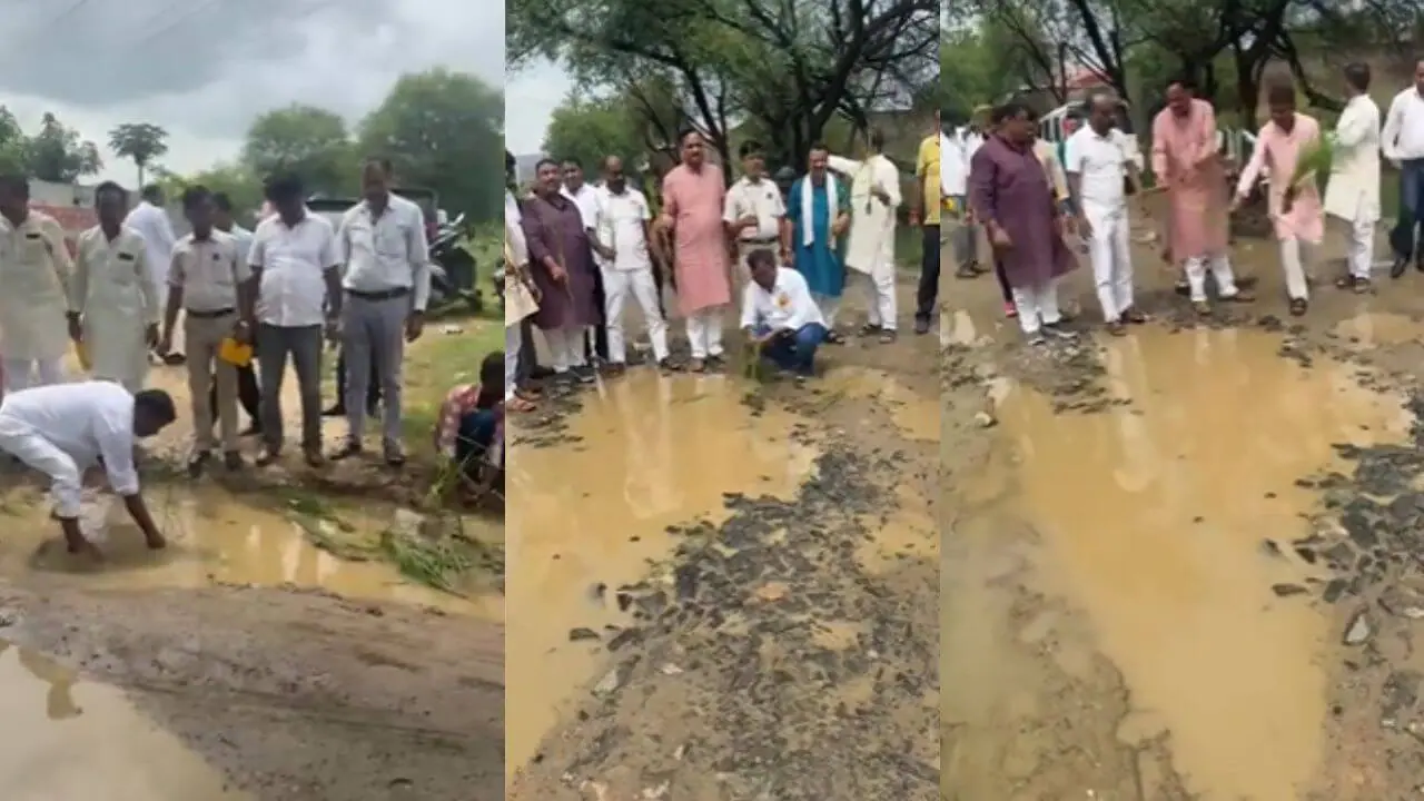 सिंगरौली में सड़कों की बदहाली पर कांग्रेस का अनोखा विरोध, गड्ढों में की धान की रोपाई, चीनी के बढ़ते दामों पर भी उठाई आवाज