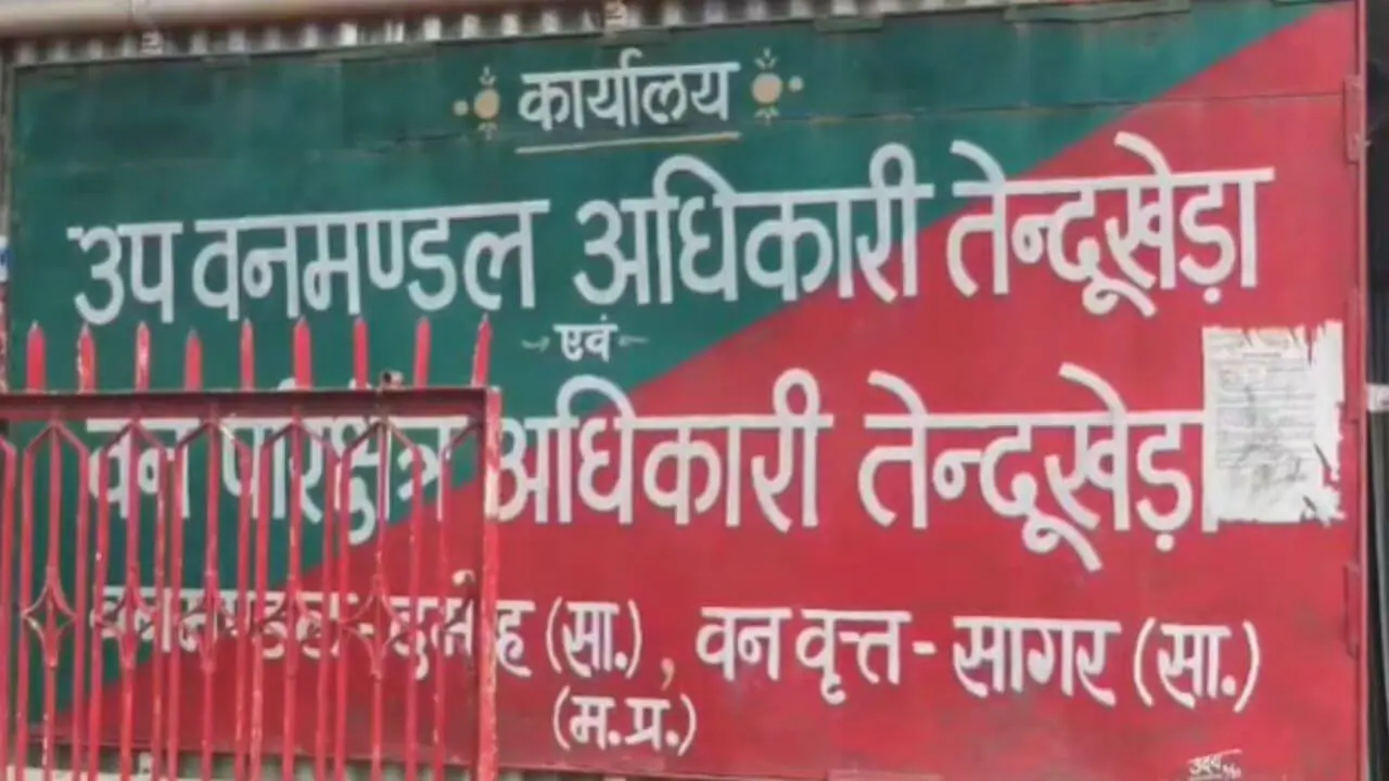 दमोह: टाइगर रिजर्व से सटे इलाके में बाघ की मौजूदगी की सूचना, लोगों में दहशत, वन विभाग ने बढ़ाई निगरानी