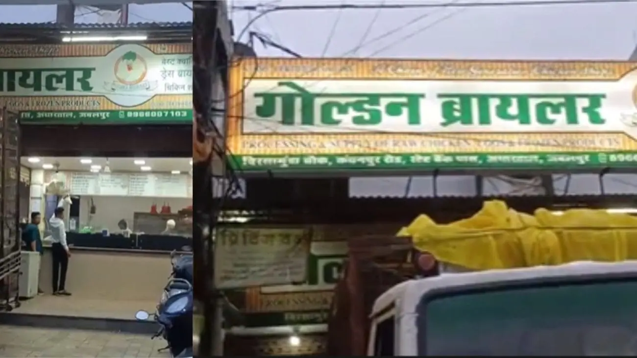 जबलपुर चिकन सेंटर का वीडियो वायरल, मृत मुर्गे बेचने के आरोप से मचा हड़कंप, नगर निगम कमिश्नर ने दिए जांच के निर्देश