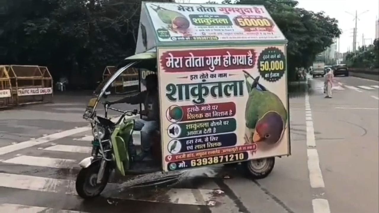 तोते के बिछड़ने से परिवार बेचैन, रखा 50 हजार रुपये का इनाम, तलाश के लिए शहर भर में हो रही ई रिक्शा से मुनादी