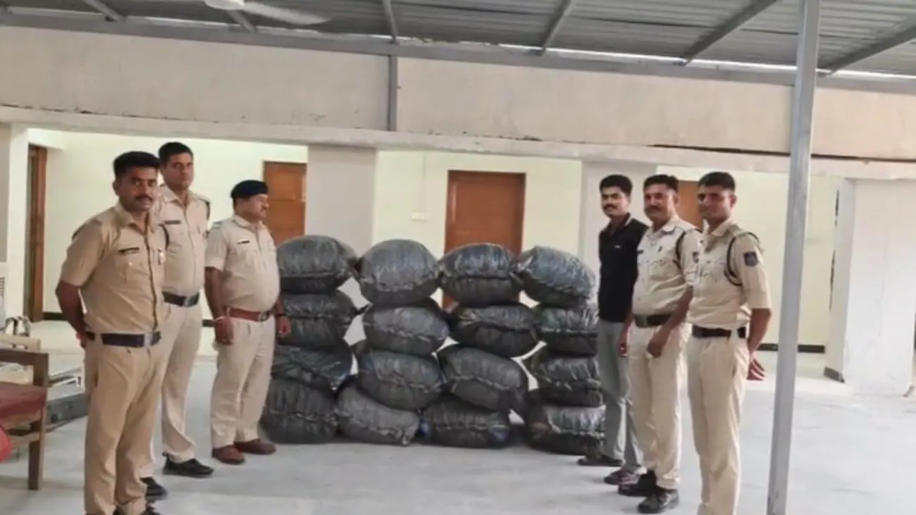 नीमच के सिंगोली में 325 किलो डोडाचूरा जब्त, पुलिस की घेराबंदी देख क्रेटा कार छोड़कर भागा चालक