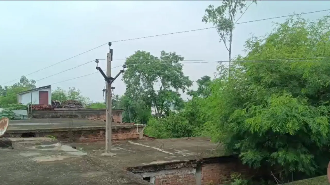छत के बीचों-बीच बिजली का पोल, ऊपर से 11KV लाइन, MP के पपौंध की खतरनाक तस्वीर