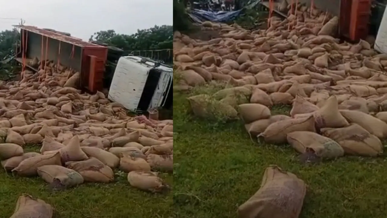मंदसौर-सीतामऊ रोड पर पलटा सरसों से भरा ट्रक, बाल-बाल बचा ड्राइवर