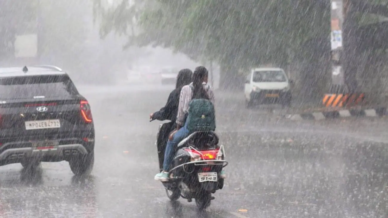 MP Weather: आज 19 जिलों में भारी बारिश, शिवपुरी- श्योपुर में ऑरेंज अलर्ट जारी, ग्वालियर समेत इन जिलों में स्कूल की छुट्टी